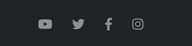 Footer social media icons